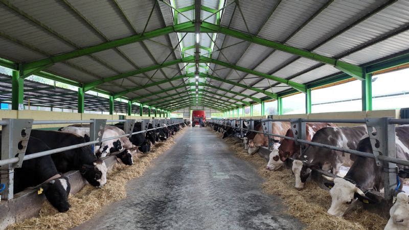 2026-yili-kurban-bayrami-kesim-hazirliklarimiz